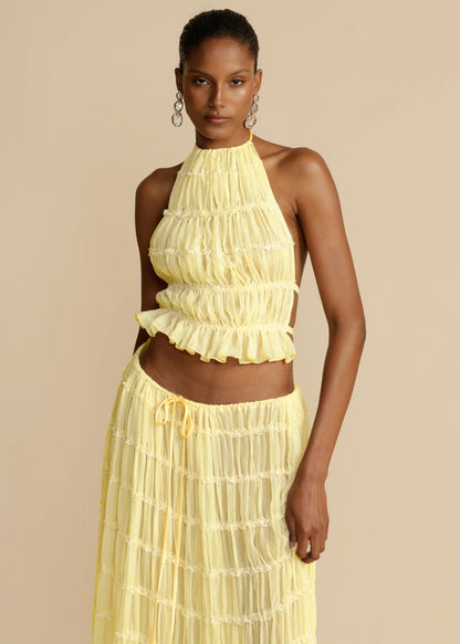 Backless Cropped Halter Top And Pleated Long Skirt Set